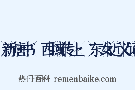 新唐书·西域传上·东女近义词是什么意思的图片